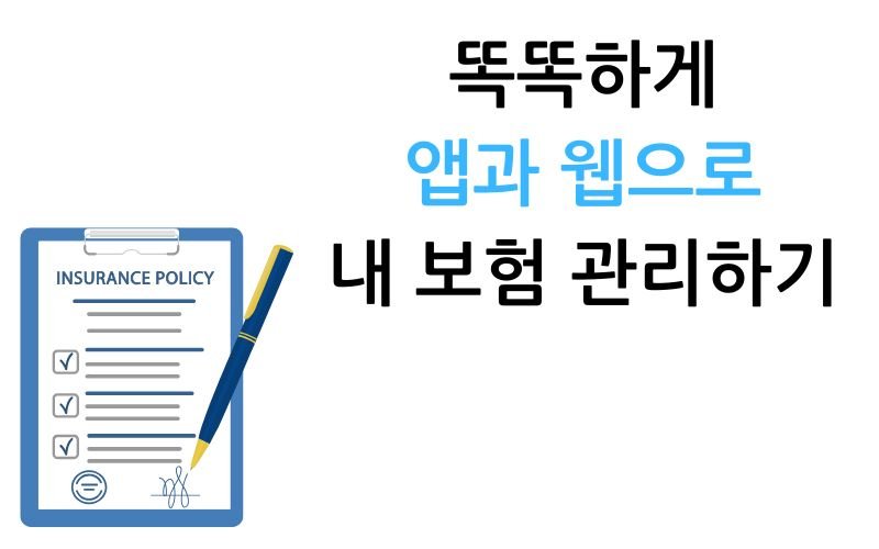 앱과 웹으로 내보험 관리하기